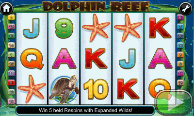 Dolphin Reef Screenshot
